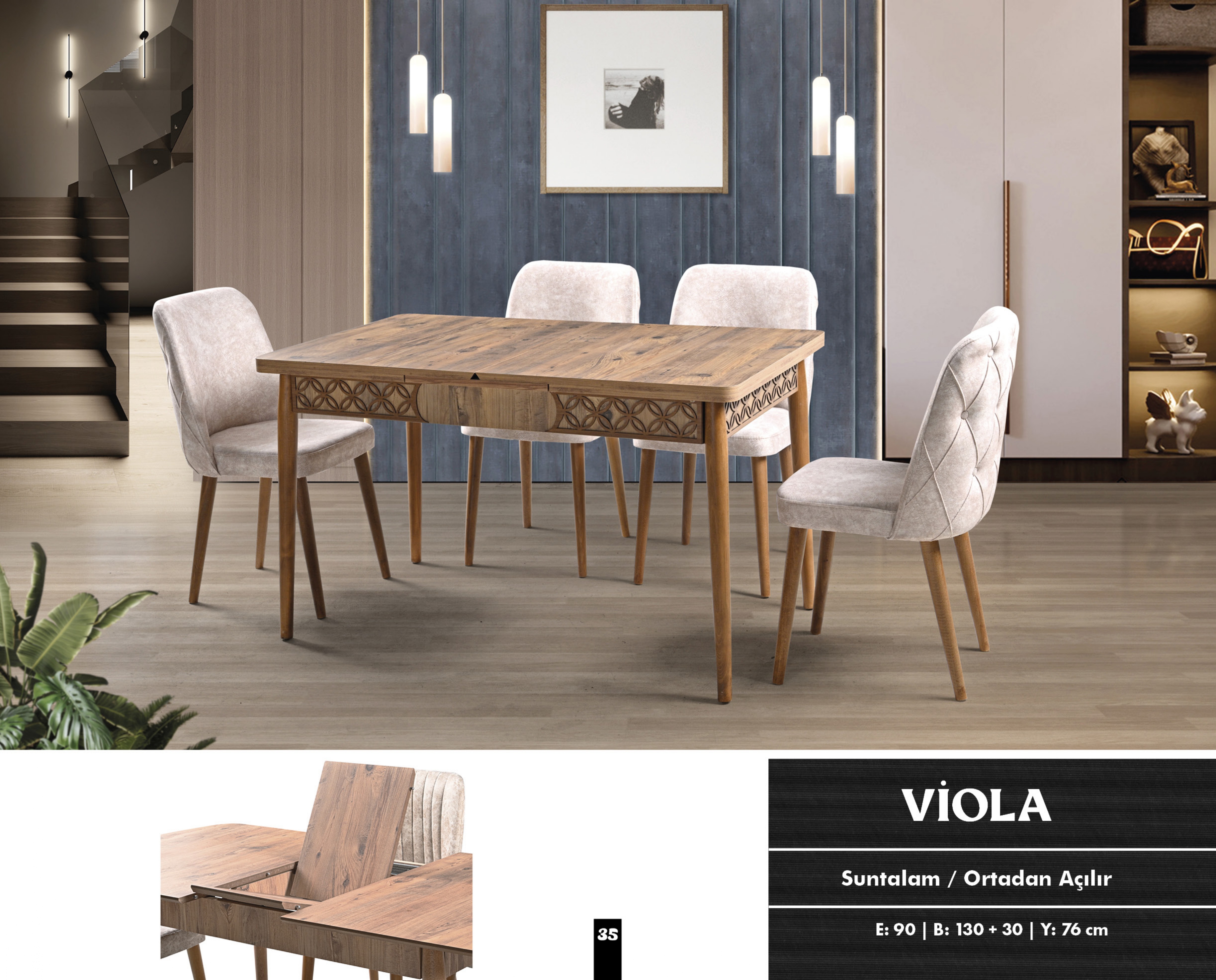 Viola